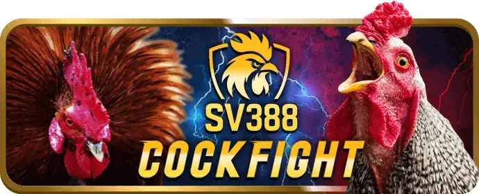 Cá cược thể thao bu88